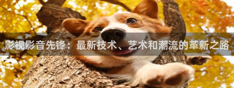 桔子视频电视剧全集免费：影视影音先锋：最新技术、艺术和潮流的革新之路