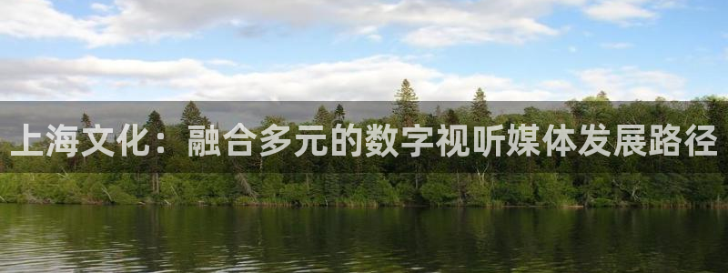 橘子和桔子：上海文化：融合多元的数字视听媒体发展路径