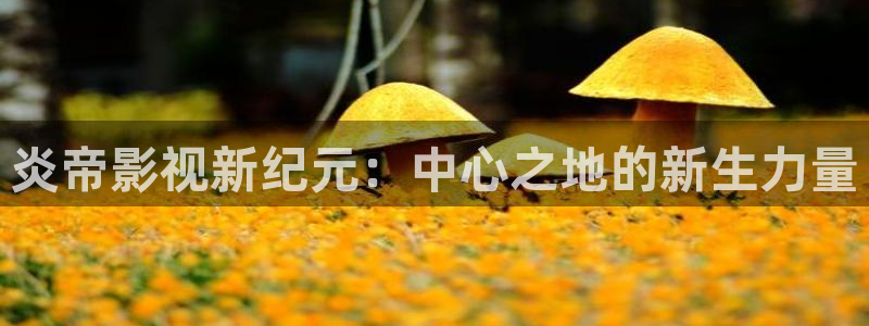 桔子午夜电影：炎帝影视新纪元：中心之地的新生力量