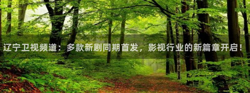 桔子的天空电影播放：辽宁卫视频道：多款新剧同期首发，影视行业的新篇章开启！