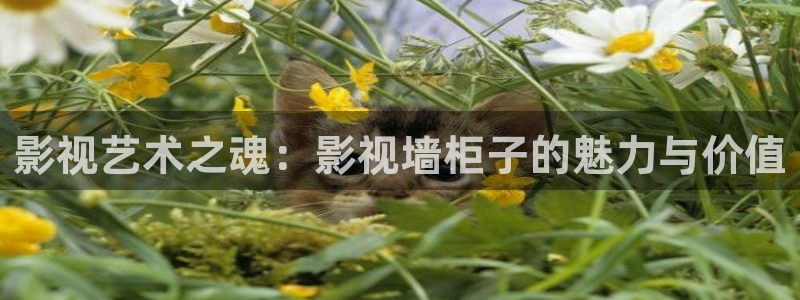 橘子桔子橙子：影视艺术之魂：影视墙柜子的魅力与价值