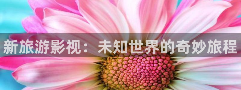 桔子的天空电影播放：新旅游影视：未知世界的奇妙旅程