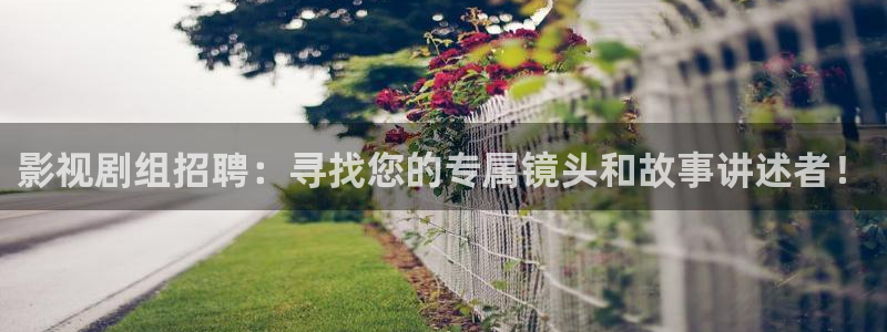 桔子一tv：影视剧组招聘：寻找您的专属镜头和故事讲述者！