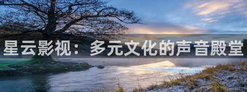 桔子一tv：星云影视：多元文化的声音殿堂