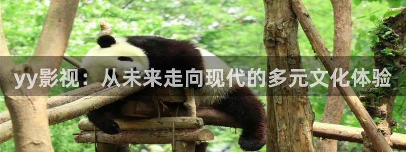 关于桔子视频在线观看：yy影视：从未来走向现代的多元文化体验
