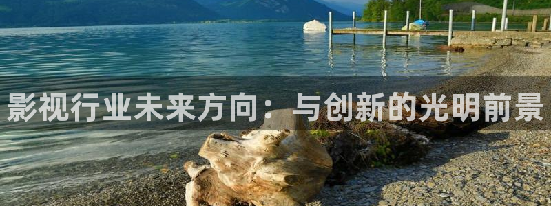 桔子午夜电影：影视行业未来方向：与创新的光明前景